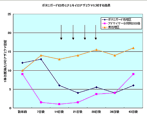�A�U�~�E�}�ɑ΂������