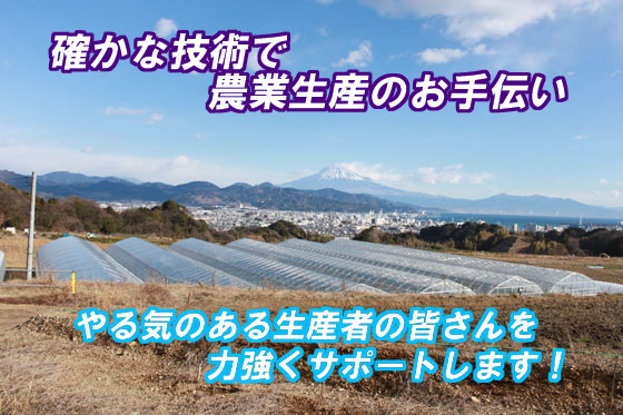 有限会社サギサカ　病害虫防除　IPM　総合防除　農業生産のお手伝い